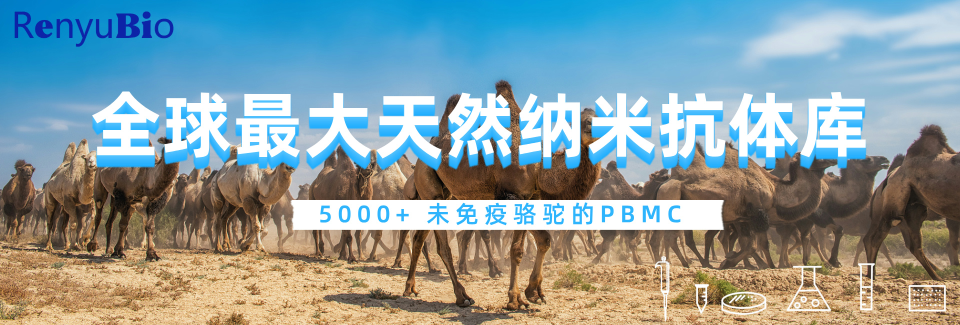 天然納米抗體庫__2024-12-02+17_24_53.jpg