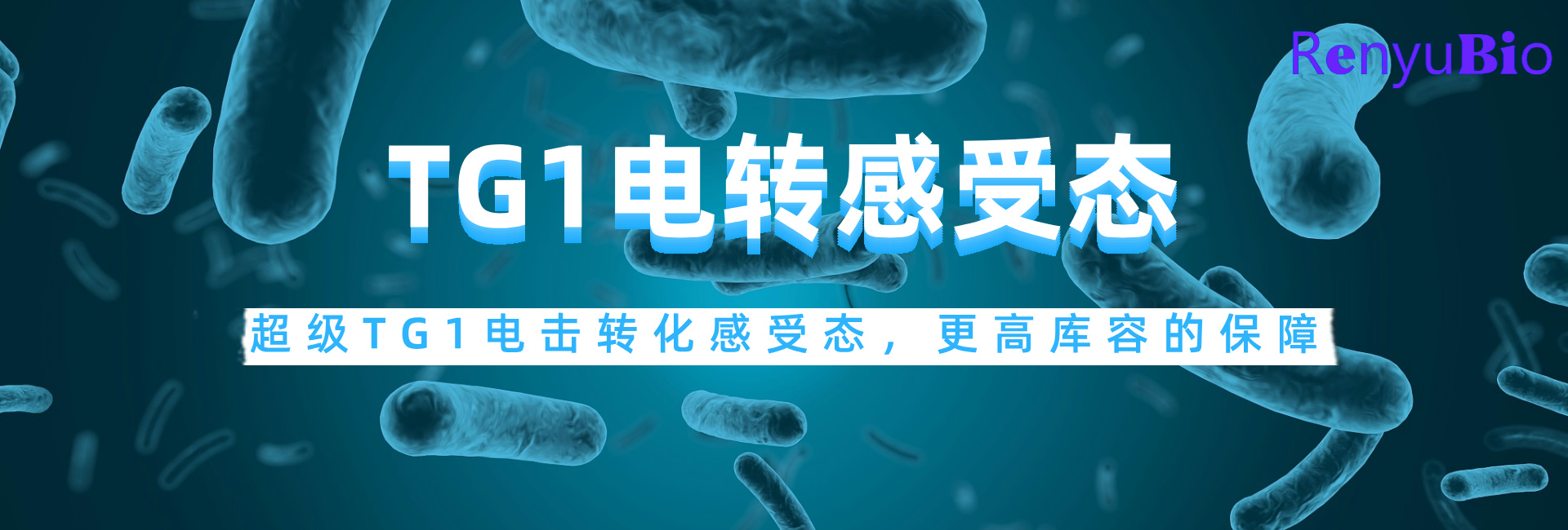 TG1電轉(zhuǎn)感受態(tài)__2024-12-03+17_15_04.jpg