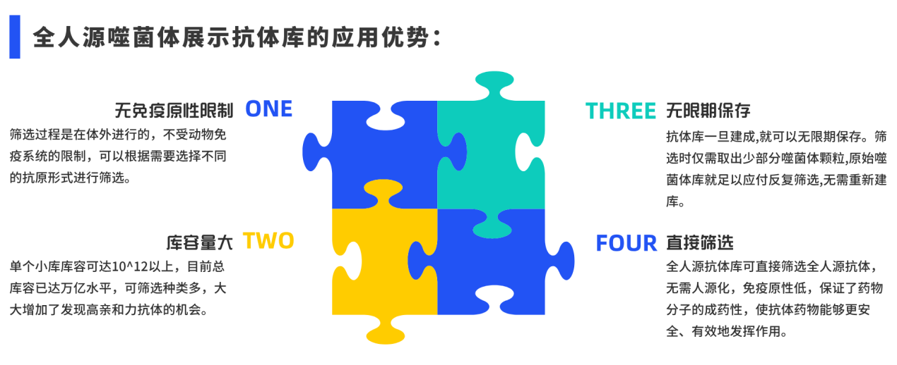 全人源應(yīng)用優(yōu)勢.png