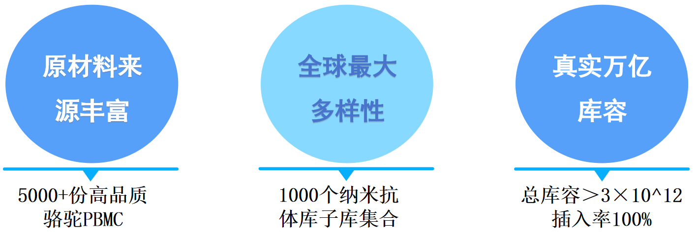 cp4.png